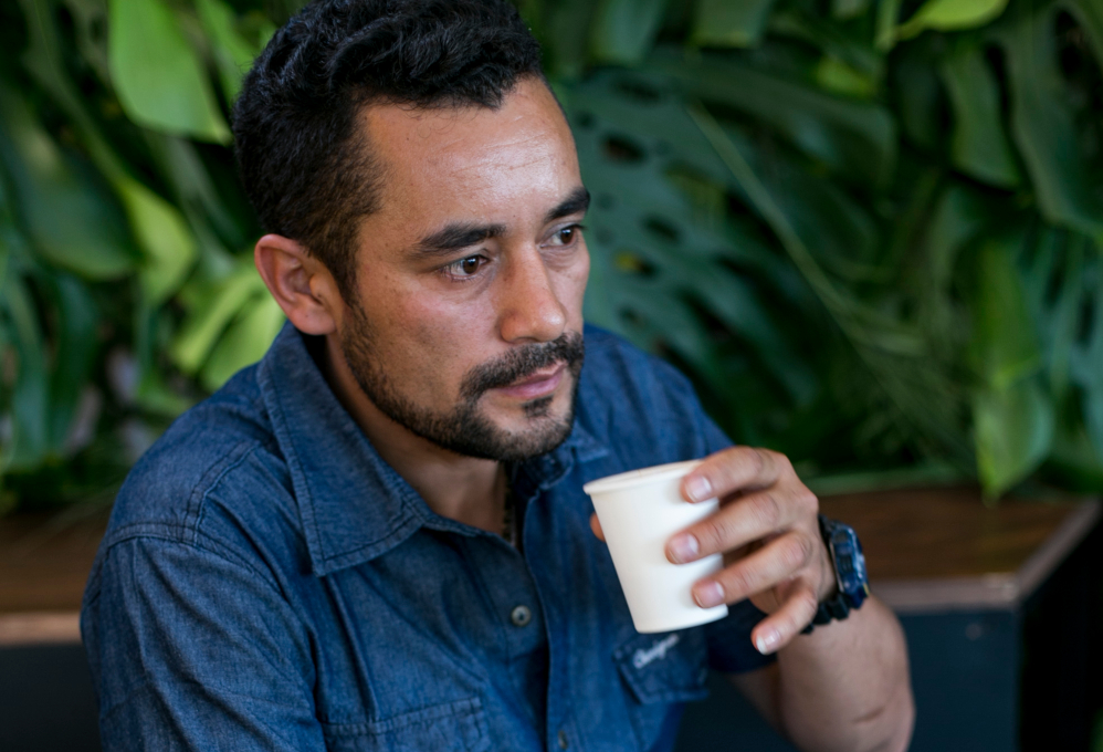 Indígenas, campesinos y excombatientes cultivan café para la paz