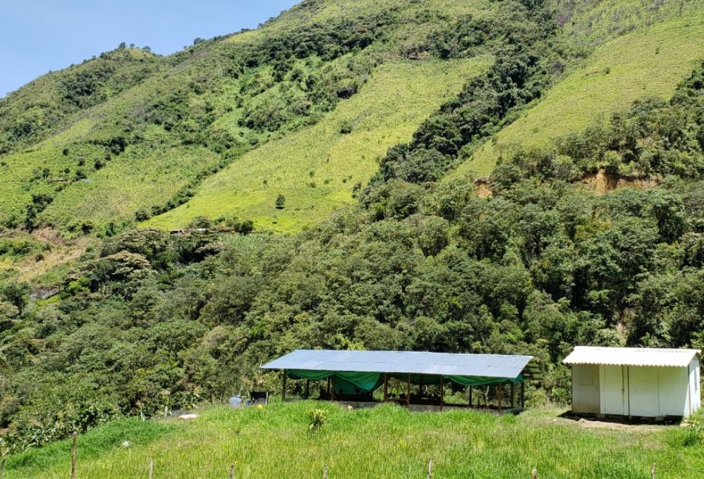 El Alto, una finca para los excombatientes de las FARC