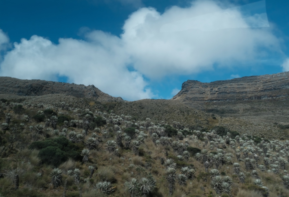 Recordar la Bogotá campesina