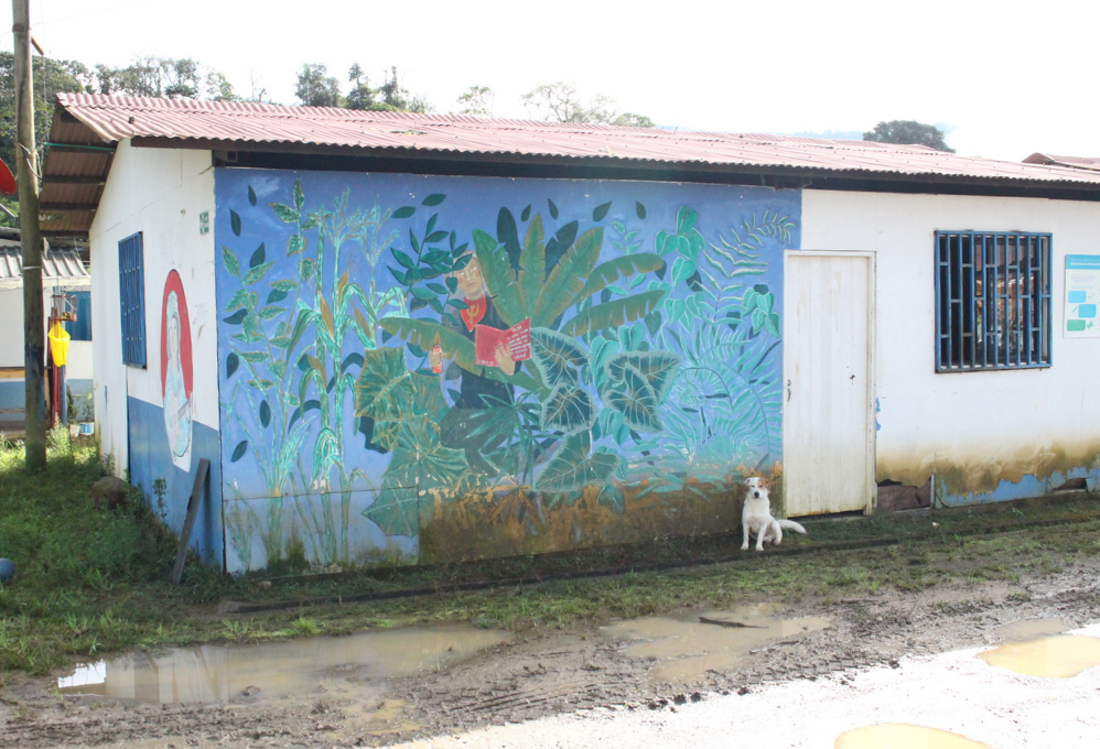 Casa de los firmantes de paz en el ETCR Llano Grande, construida con material superboard.